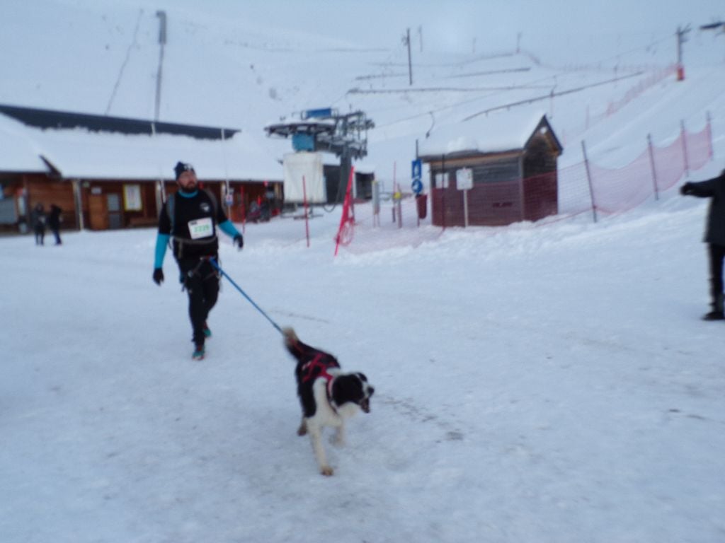 Cani-trail des neiges du Hautacam : On l'a fait!