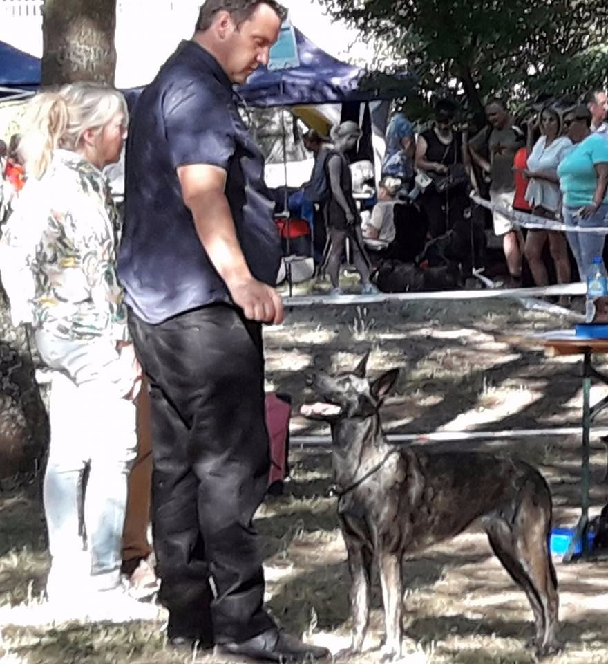 Du Rocher Des Ducs - Exposition Canine de Trets