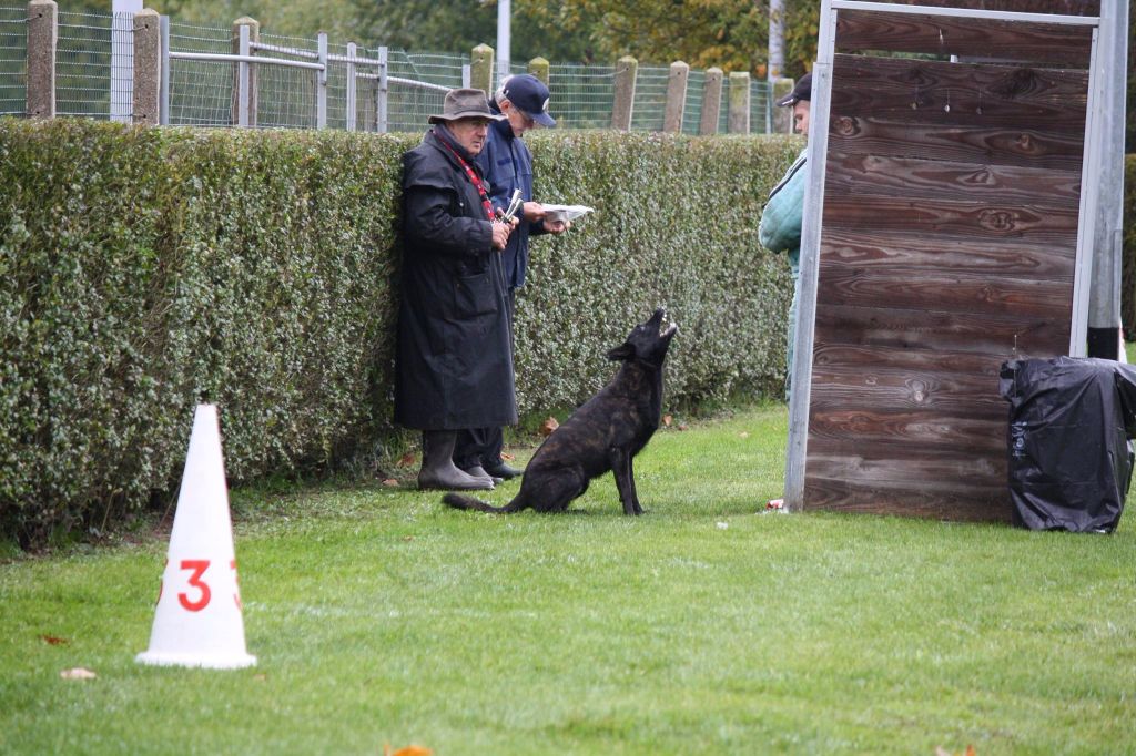 Du Rocher Des Ducs - Juggernaut - Podium en Ring 2