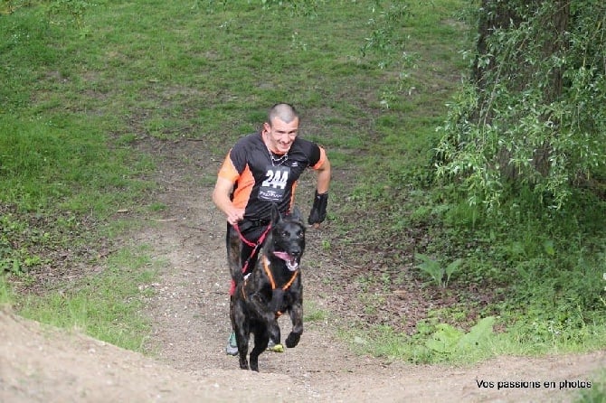 Du Rocher Des Ducs - Brevet Ring et Canicross pour Juggernaut