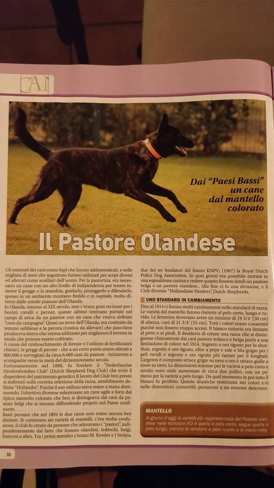 Du Rocher Des Ducs - Nashira dans la presse italienne !