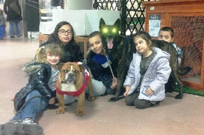 Du Rocher Des Ducs - Dark Side - Atelier Canin avec les Enfants