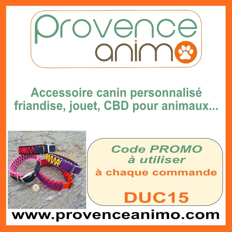 Nouveau Partenariat avec Provence Animo !