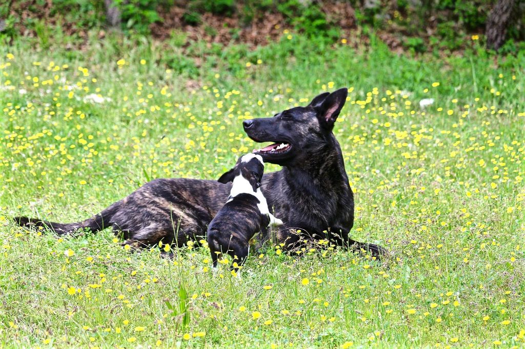 Du Rocher Des Ducs - Nos bébés profitent du printemps ! 