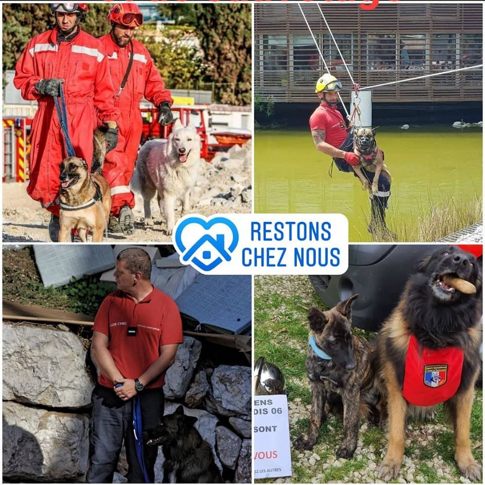 Du Rocher Des Ducs - Journée Internationale du Chien de Recherche et de Sauvetage