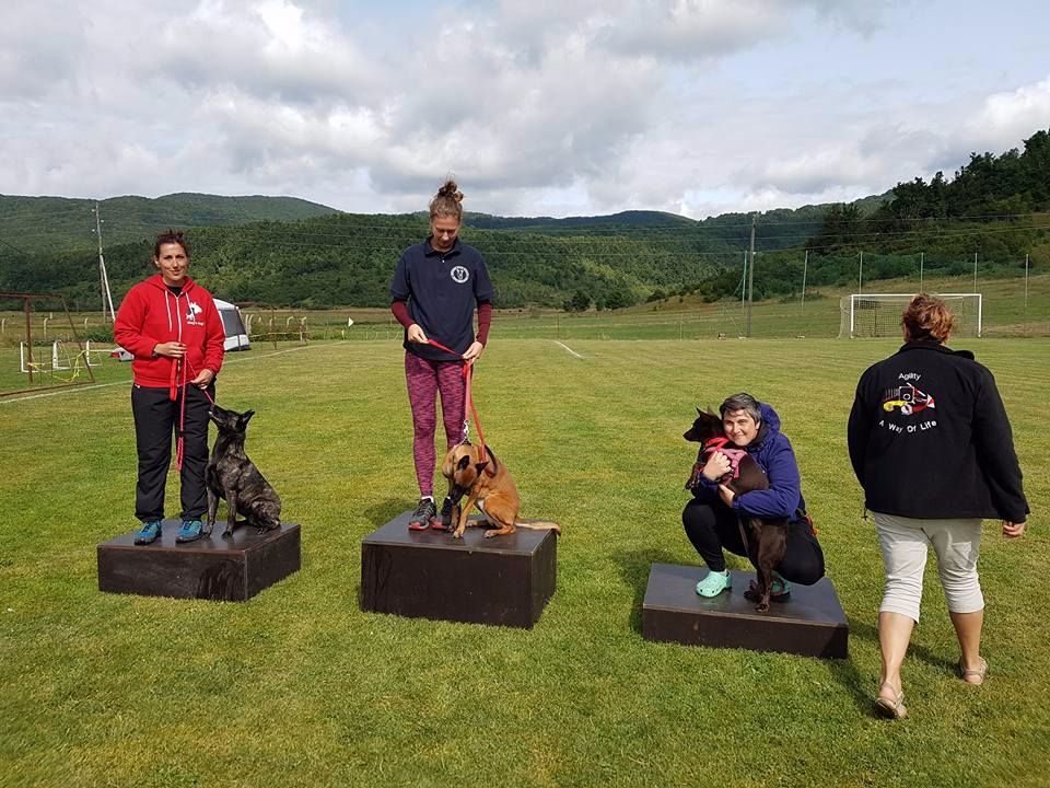 Du Rocher Des Ducs - Joli concours en Agility 2 pour Maori !