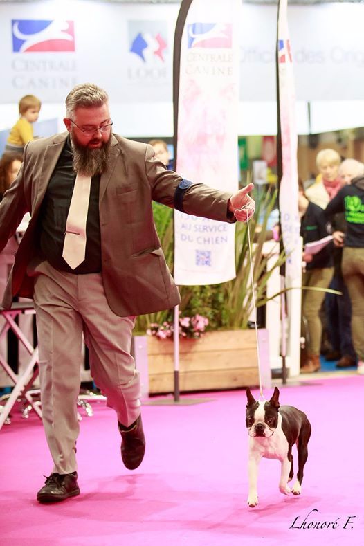 Du Rocher Des Ducs - Jack au Concours Général Agricole !