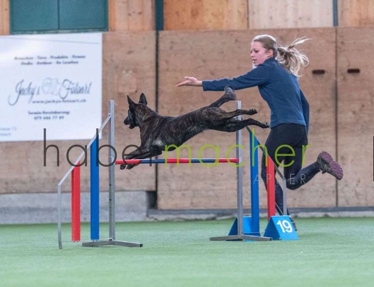 Du Rocher Des Ducs - Joli 1er concours Agility