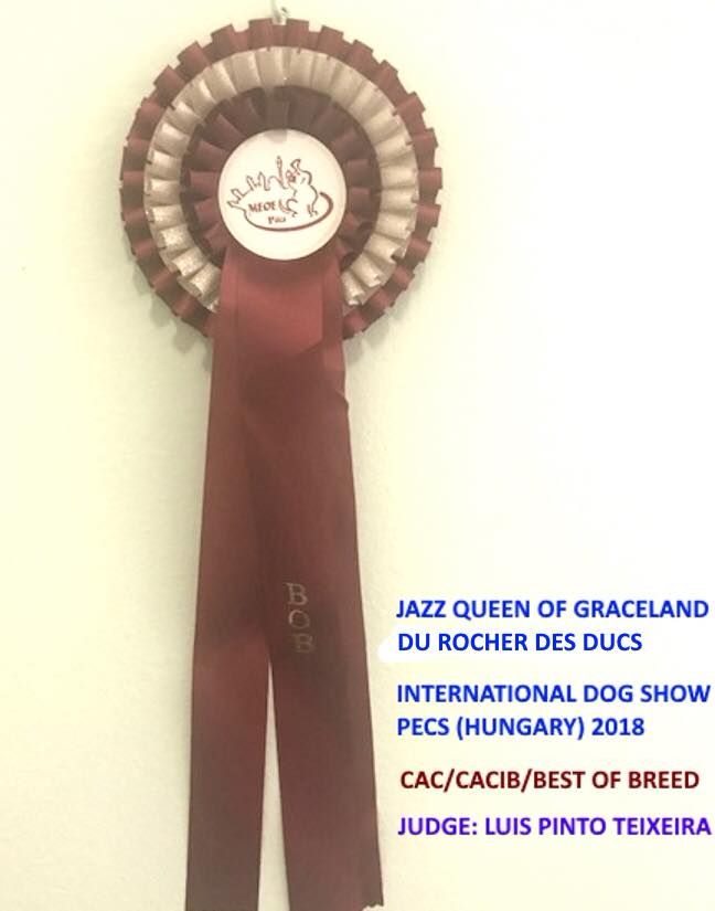 Du Rocher Des Ducs - Jazz Championne de Hongrie !