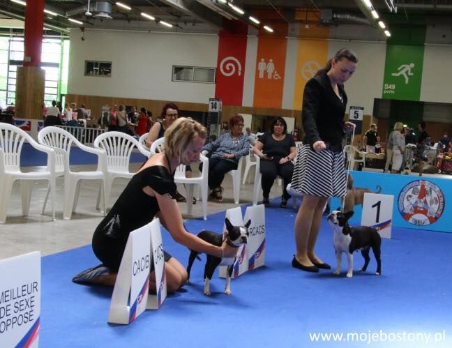 Du Rocher Des Ducs - Championnat de France au Bourget