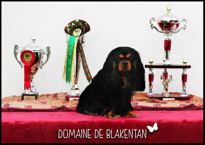 Du Domaine De Blakentan - National d'élevage 2014