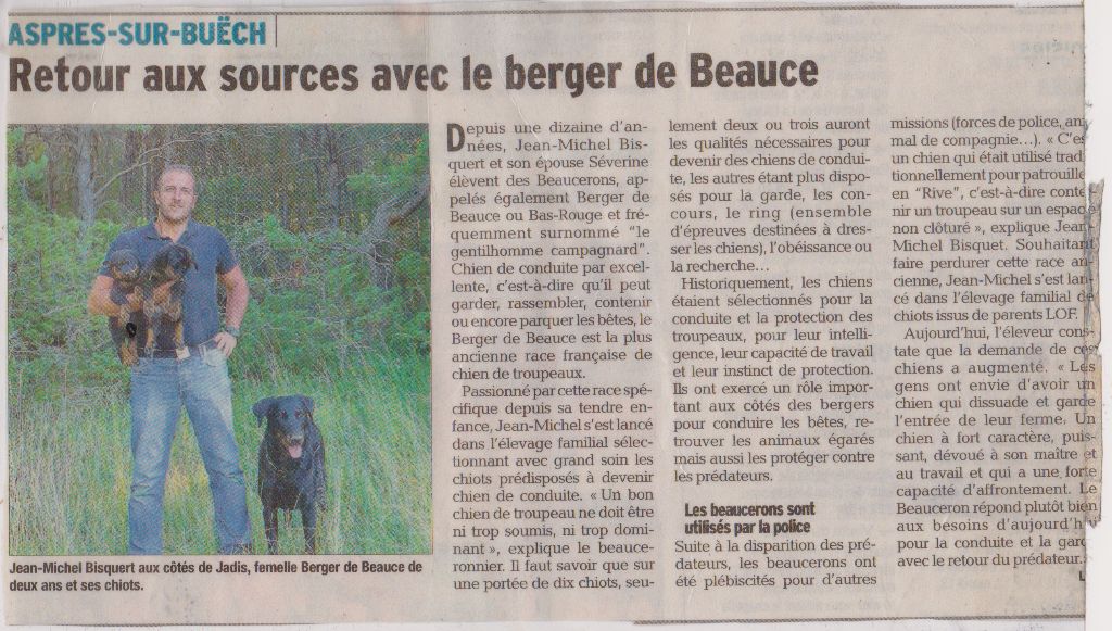 Du Grand Buech - Article 