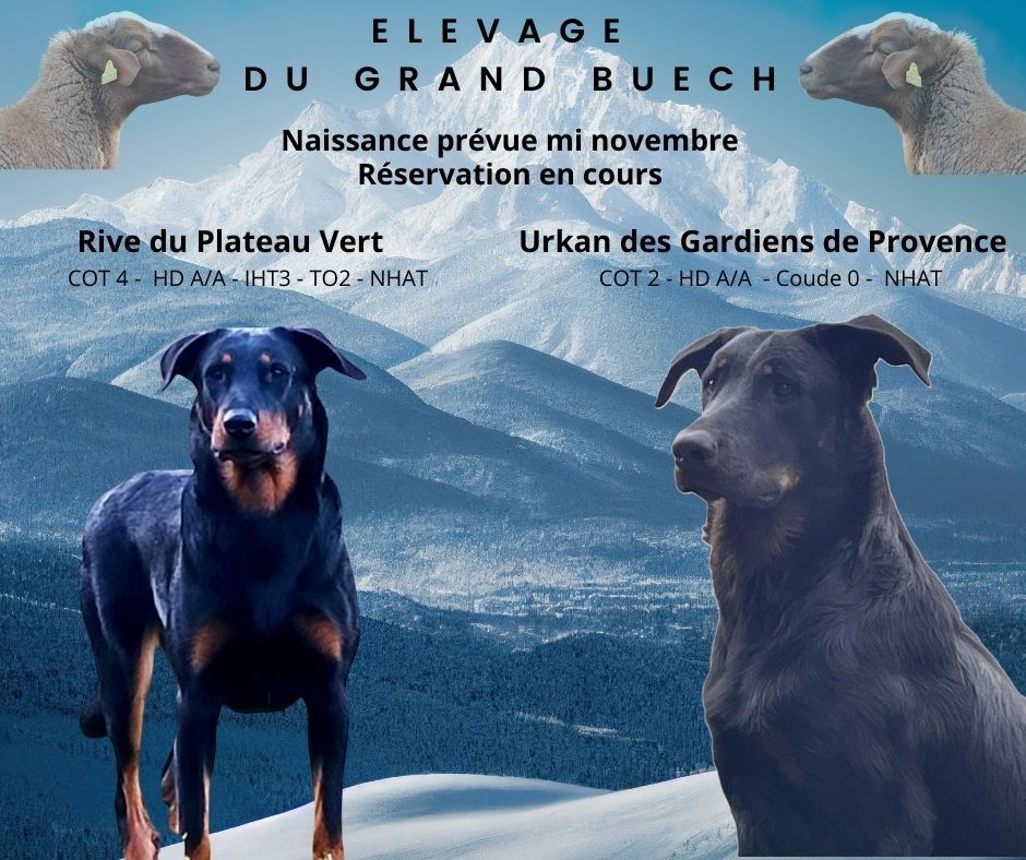 Du Grand Buech -   Les réservations  on commencer  