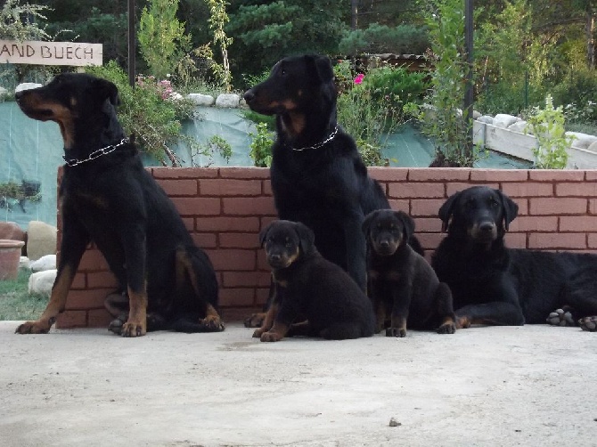 Du Grand Buech -  LES BEBES DU GRAND BUECH  EN FAMILLE 