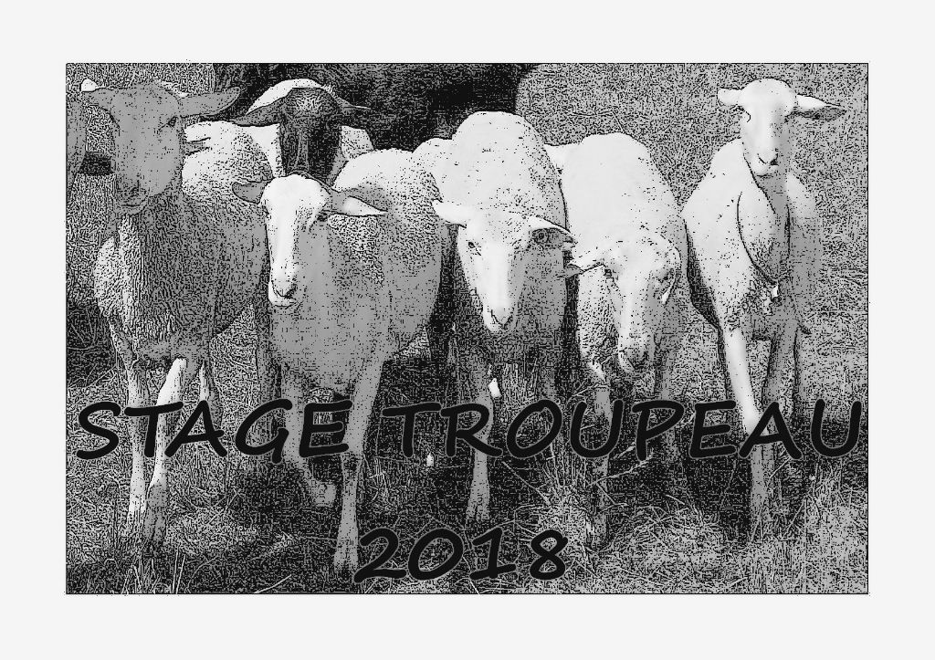 Du Grand Buech - DATES 2018 STAGE INITIATION  TROUPEAU