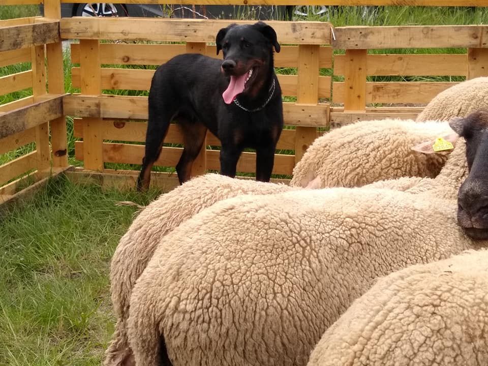 Du Grand Buech - O'MIK DU GRAND BUECH