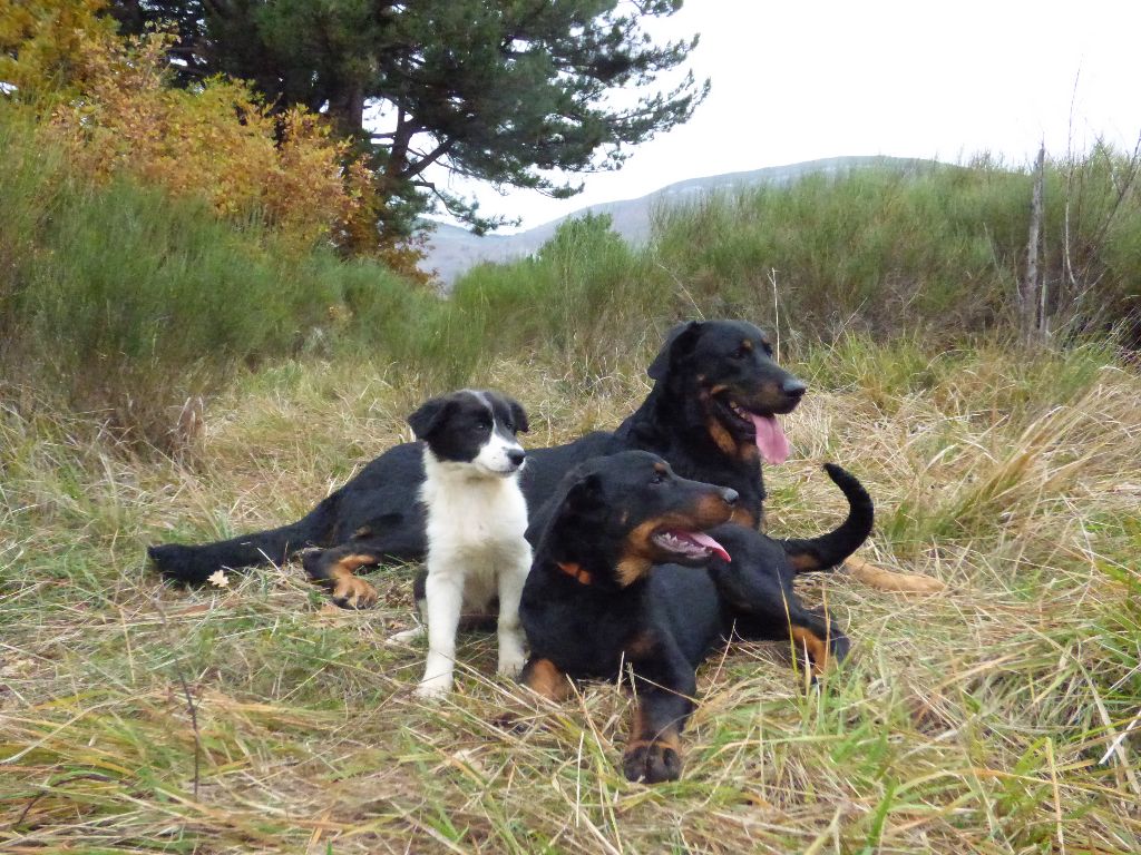 Du Grand Buech - Le Gaillard et Olga du grand buech avec O'Glencoe