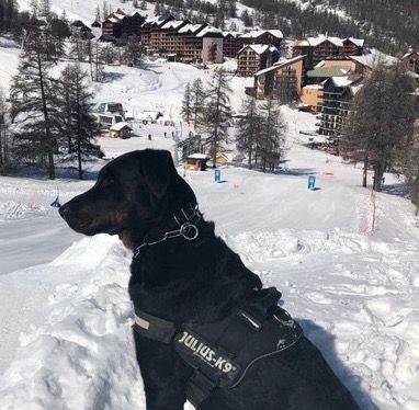 Du Grand Buech - N'TYOZZO DU GRAND BUECH à LA NEIGE !!