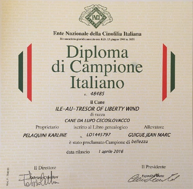 Championne d'Italie 