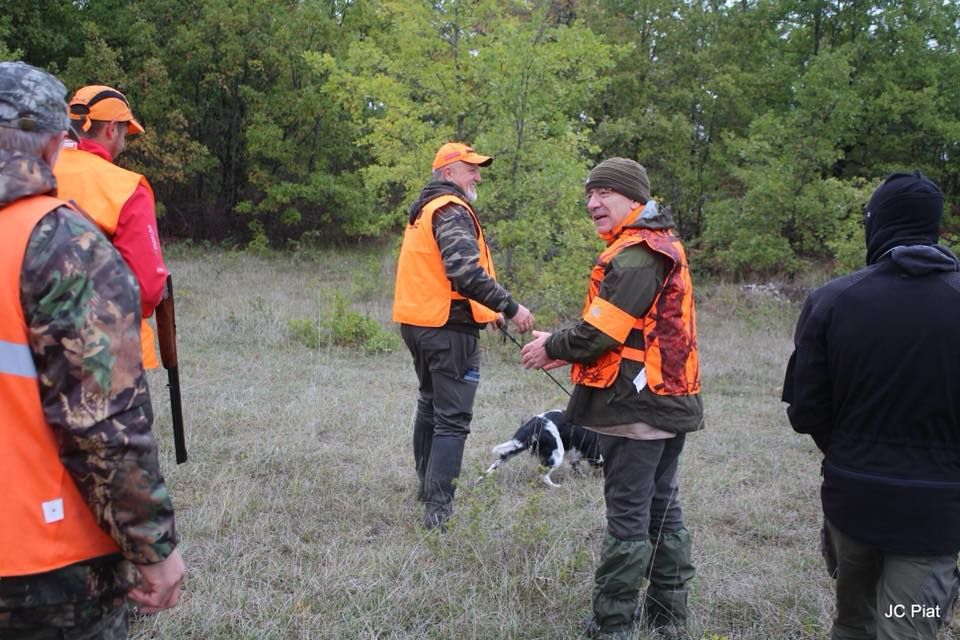 De La Bruyère Des Varrats - FIELD TRIAL DE VILLESEQUE