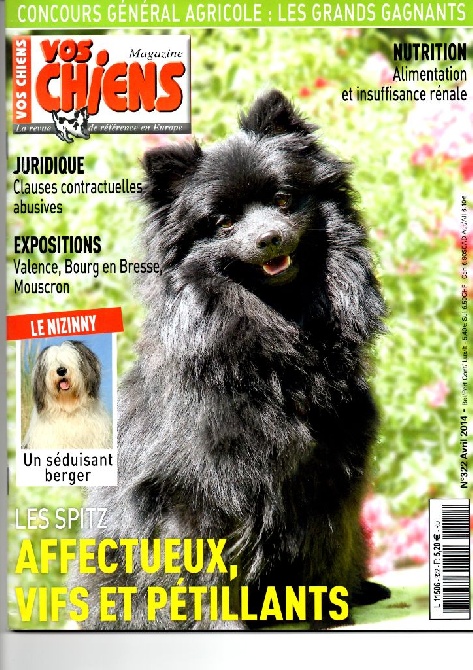 d'un Soir de Noël - C'XENA d'Un Soir de Noël dans VOS CHIENS MAGAZINE - Avril 2014 -