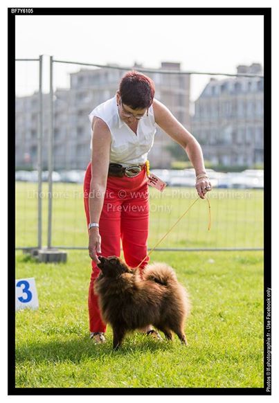 d'un Soir de Noël - Exposition Canine DIEPPE 2014