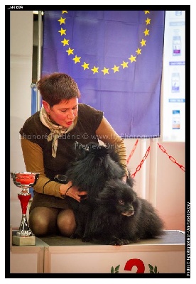 d'un Soir de Noël - PARIS DOG SHOW 2014