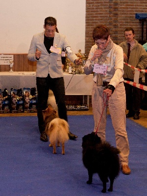 d'un Soir de Noël - DSCB DogShow 2011 (Nationale d'Elevage Belge) 5 - C' Xena - 