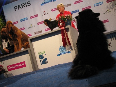 d'un Soir de Noël - World Dog Show Paris 2011 Fin ....