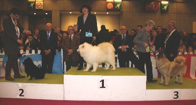 d'un Soir de Noël - CONCOURS GENERAL AGRICOLE 2013