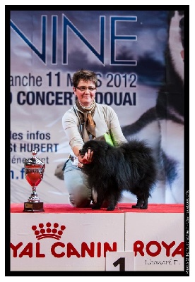 d'un Soir de Noël - TEASPOON - 1er au BEST IN SHOW Vétéran - DOUAI 2012