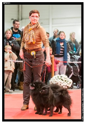 d'un Soir de Noël - EXPOSITION de METZ 2013