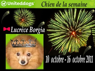 d'un Soir de Noël - Lucrèce Borgia "Chien de la Semaine" du 10 au 16 Octobre 2011