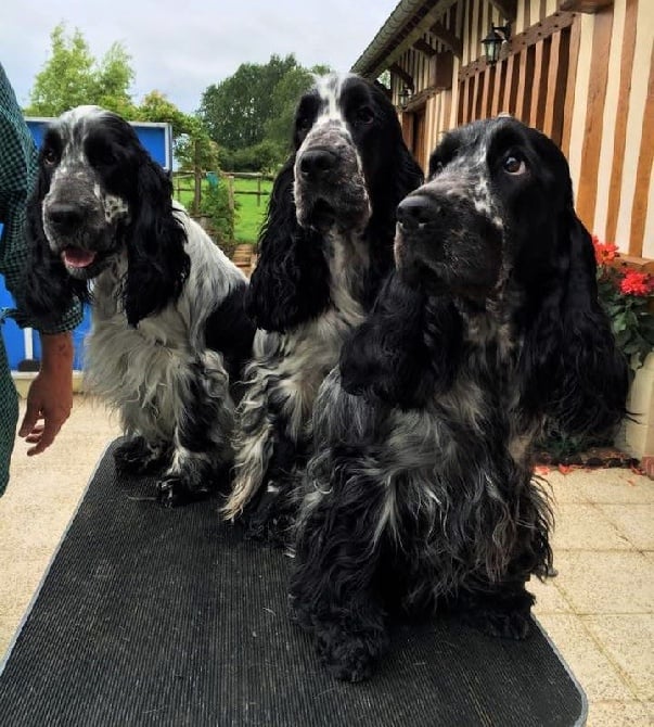 3 bébés qui ont bien grandis !! 