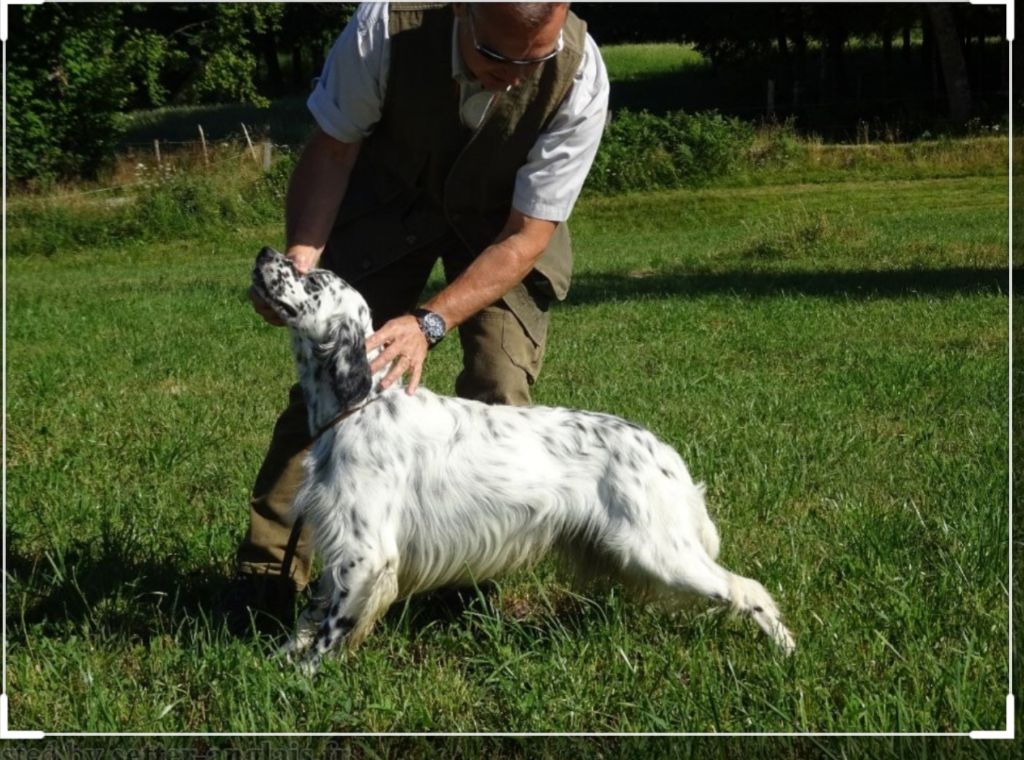 CACIB pour Sarentis Luca le 11 Aout 2019.