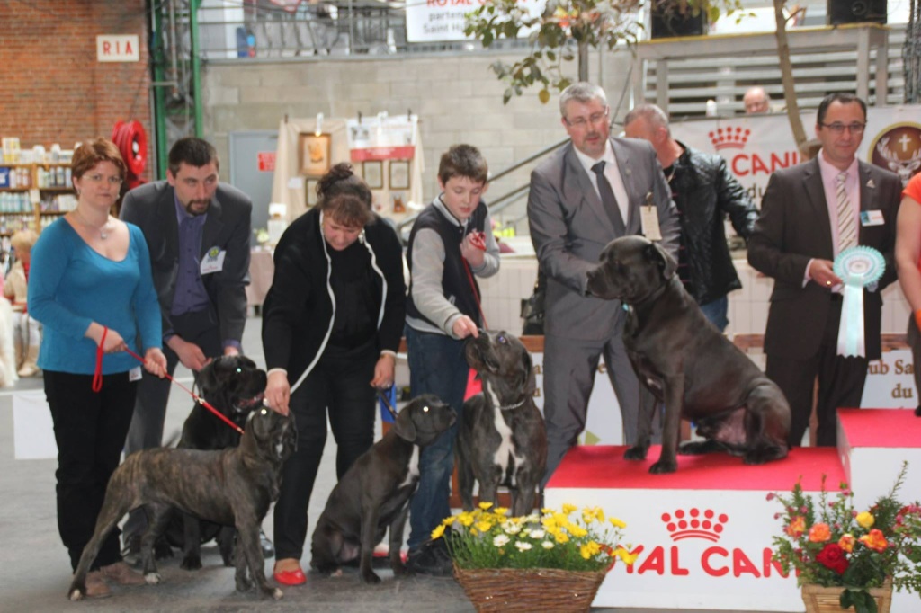 Des Jardins De Vinci - Résultats expo nationale de Maubeuge Avril 2015