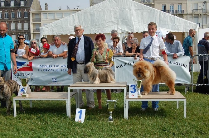 flores lane - exposition de DIEPPE le 27.07.14