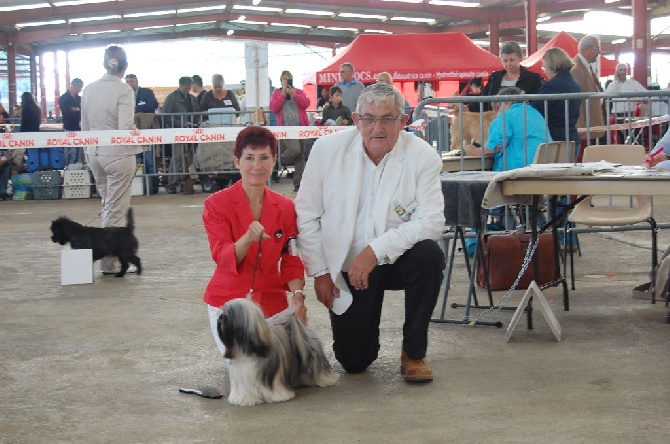 flores lane - exposition nationale de CHATEAU GONTIER le 24/08/2014