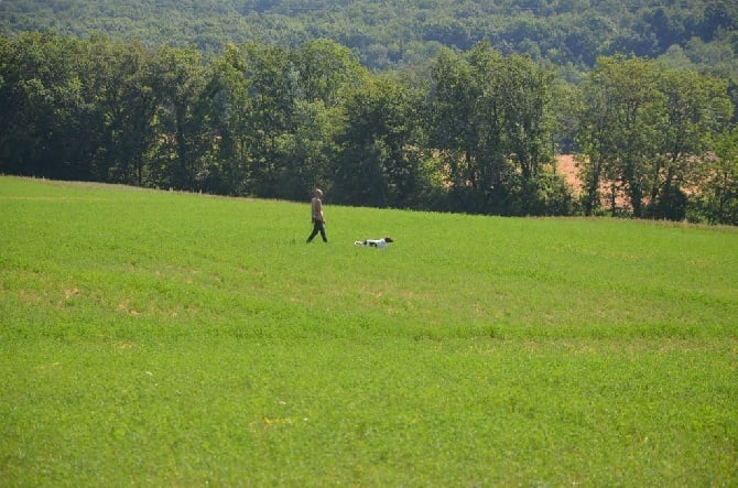 De La Combe De Borderant - TAN de Challonge (74) Petit Musterlander