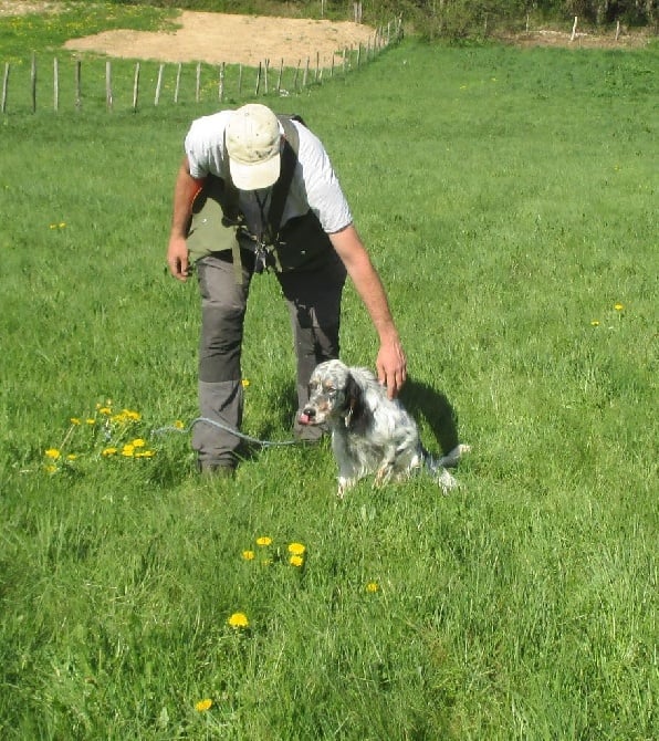 De La Combe De Borderant - il reste quelques places pour le mois de mai 