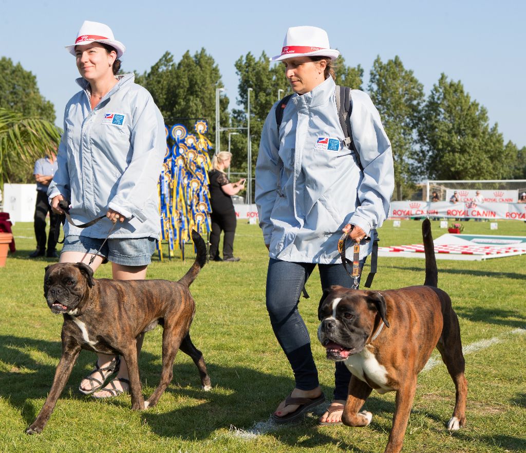 De La Belgariade - Grand Prix de la SCC en Ring