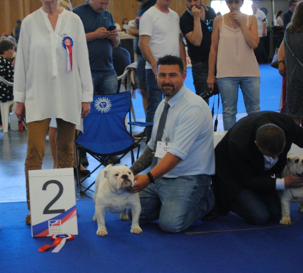 Strawberry Bull's - Championnat de France le 2 juin 2019 juge Mme Petra Grell