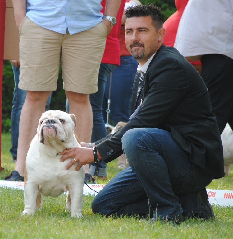 Strawberry Bull's - CACS Saint-Girons le 19 juin 2016 juge Mr Garnero Jean-Claude