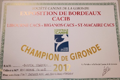 Lord Roy's - Disturb championne de Gironde 2012