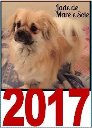 Bonne et Heureuse Année 2017