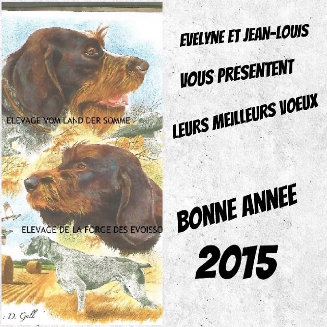 VOEUX 2015