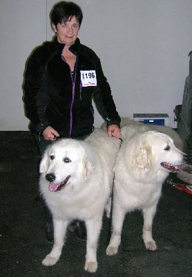 Des Plateaux Du Mezenc - Expo canine internationale de St Etienne