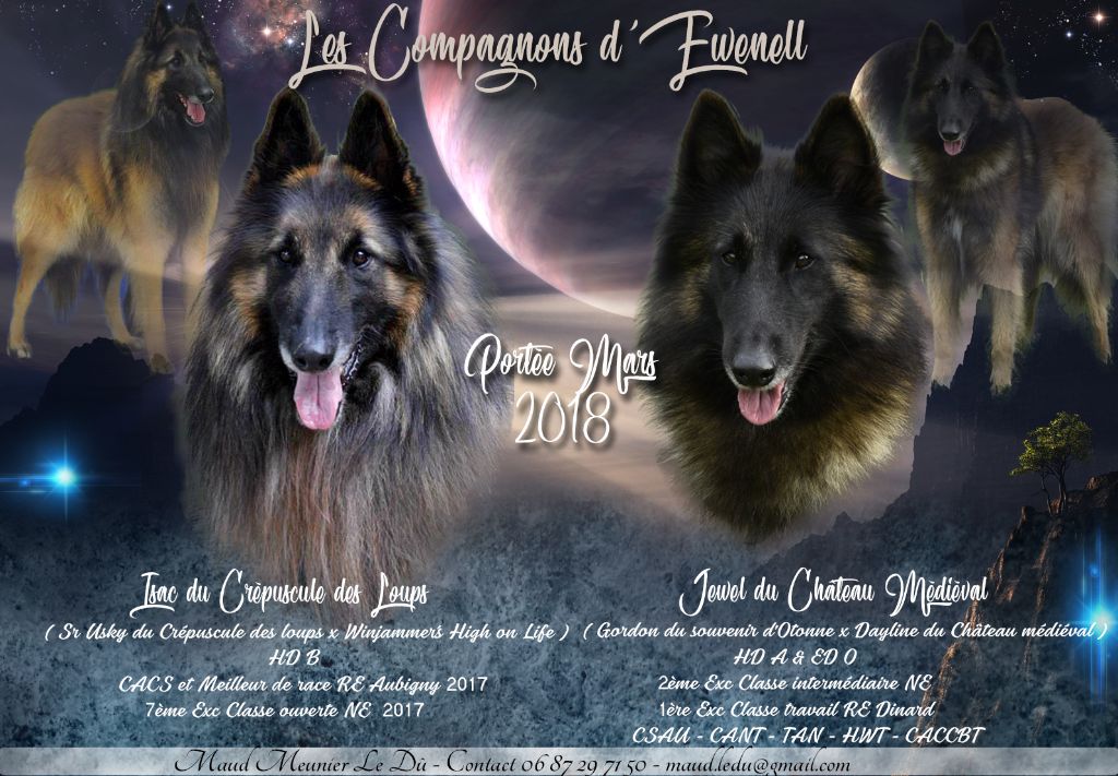 Des Compagnons D'ewenell - Bientôt notre portée 2018 !