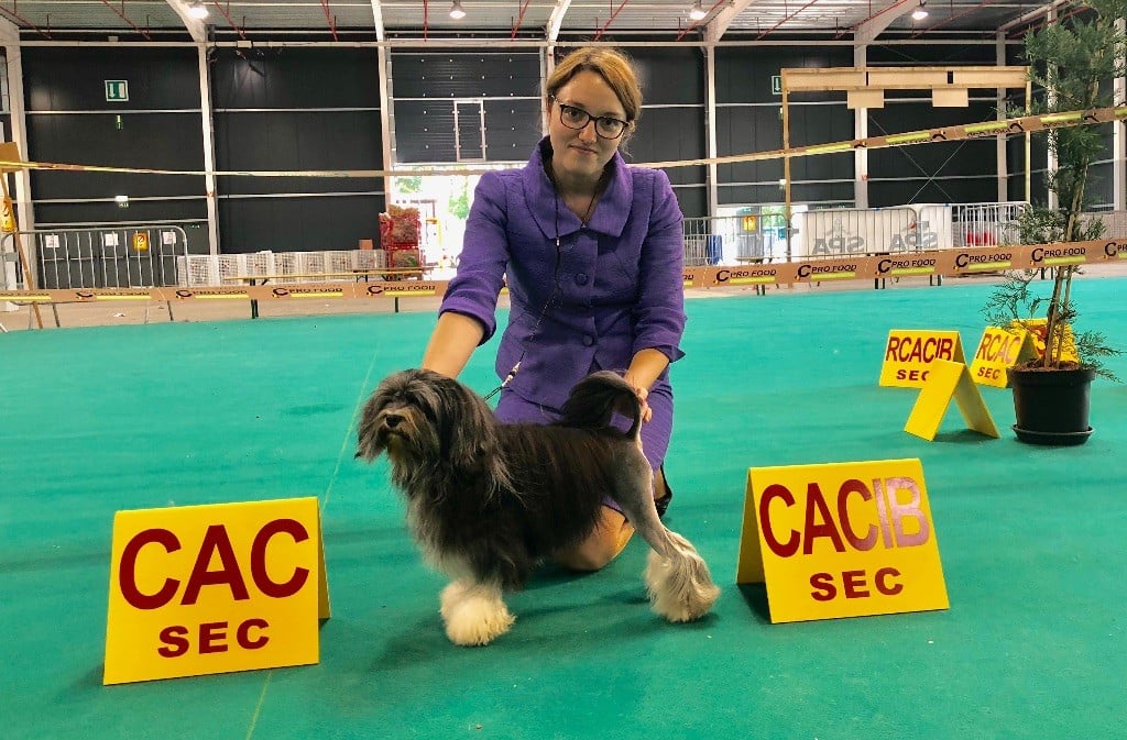 Herma's Headland - Golden Dog Trophy 