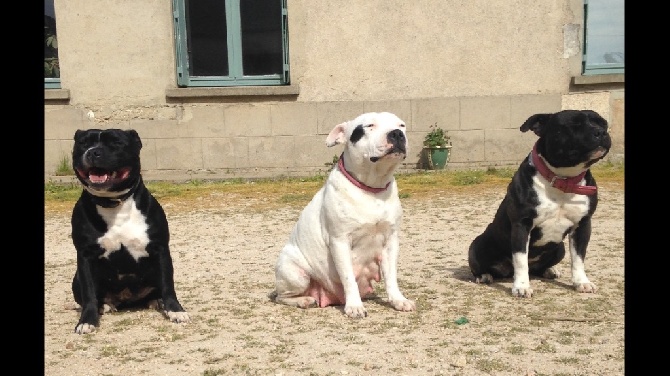 Du Soleil Vert - Photo de famille: Ghaïs et ses deux filles